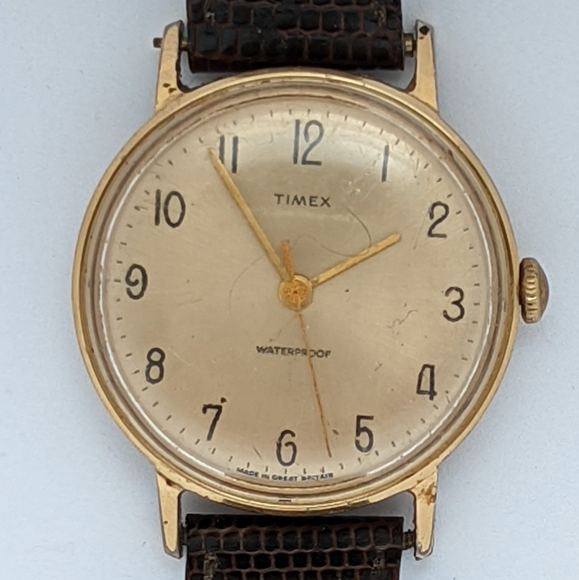 Timex 65 Marlin 2021 2465 [1965]